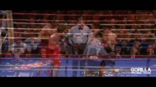 Mosley vs Margarito highlights By Gorilla Productions [upl. by Bautram]