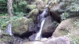 Kailash Gufa Sarguja Chhattisgarh WaterFall [upl. by Aicercal]