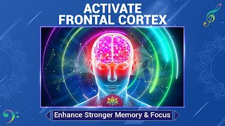 Activate Frontal Cortex Activate Your Entire Brains Potential  Enhance Stronger Memory amp Focus [upl. by Car]