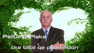 PELLUMB PLAKA  CKE BILBIL QE PO VAJTON [upl. by Relyks908]