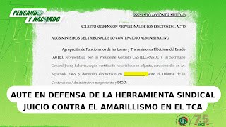 AUTE en juicio contra el amarillismo en el TCA [upl. by Hesketh845]