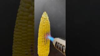 Powerful Lighter vs Corn [upl. by Romeo899]