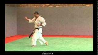 Hiroji Fukazawa  Kata amp kumite  Wadoryu [upl. by Aeynod]