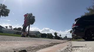 Driveway drill with Waylon nervous skittish dog learning to walk in heel [upl. by Knowling]