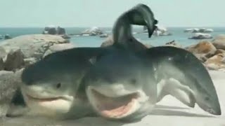 6Headed Shark Attack 2018  6 Headed Shark Screen Time [upl. by Yreva]