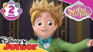 Sofia The First  King For A Day  Be Your Own King  Song  Disney Junior UK [upl. by Nuoras371]