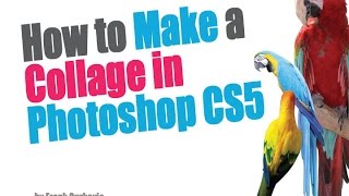 How to Make a Collage in Photoshop CS5 [upl. by Anoek]