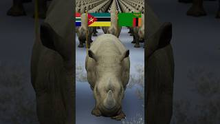 Rhinoceros Population by Country 2024 [upl. by Asiret]