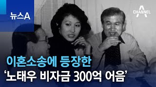 이혼소송에 등장한 ‘노태우 비자금 300억 어음’  뉴스A [upl. by Aehsila]