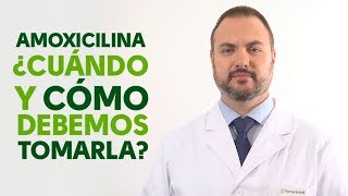 Amoxicilina cuándo y cómo debemos tomarla Tu Farmacéutico Informa [upl. by Anyar285]