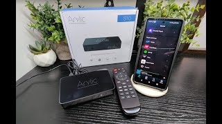 Arylic S10 WiFi music streamer  Arylic [upl. by Bettye]