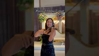 oahu hawaii hawaiiwedding weddingviolinist weddingentertainment destinationwedding violinist [upl. by Puett]