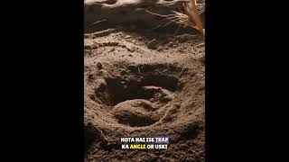 सबसे शातिर शिकारी😱Antlion Insects shortsvideo GYaane [upl. by Porcia]