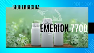 Bioherbicida Emerión 7700 [upl. by Ahtamat]