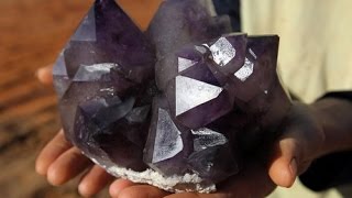 The Crystal Collector quotAmethyst hunt at Diamond Hill Mine South Carolinaquot [upl. by Ynhoj26]