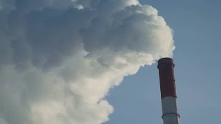 Environmental Pollution Stock Video [upl. by Eninahs]