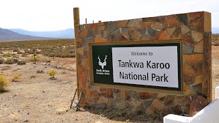 Day 20  Tankwa Karoo National Park [upl. by Jazmin]