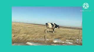 Claresholm alberta Canada Hutterite colony [upl. by Libb185]