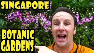 Singapore Botanic Gardens Travel Guide [upl. by Heath]