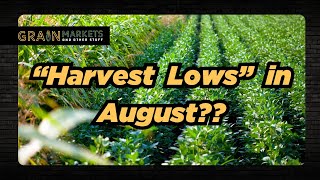 Did CornSoybeans Post quotHarvest Lowsquot in August [upl. by Nnaxor25]