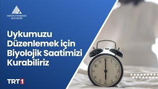 Uykumuzu Düzenlemek için Biyolojik Saatimizi Kurabiliriz [upl. by Enihsnus]