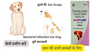 Ambiflush Ear Drops for Dogsकुत्तों के कान की दवा [upl. by Krock]