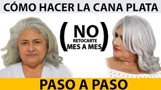 Como hacer la cana PLATA paso a paso  BETTY LAZCANO [upl. by Stormie]