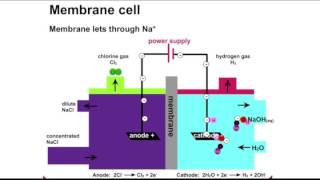 ChlorAlkali Process Animation [upl. by Aedni]