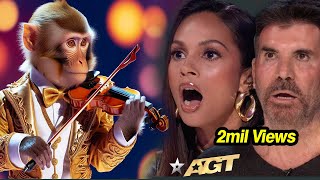 First Monkey to Play an INSTRUMENT on AGT Emotional Audition  Everyone Tears agtmagic viralvideo [upl. by Etram]