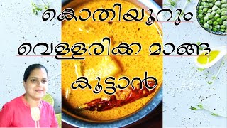 Vellarikka Manga Koottan  Cucumber and mango curry  Ep 86  Dhanyas Treasure World [upl. by Ehsom]