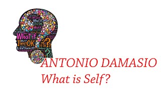 ANTONIO DAMASIO what is the Self [upl. by Mayram]