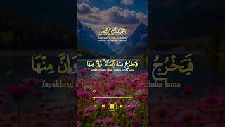 Summa qasat qolobikum quranulkarim youtubeshorts alquranulkarim quranrecitation quran [upl. by Feodora]