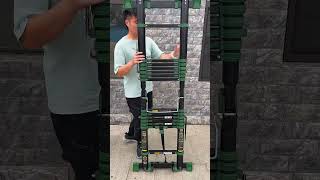 Discover the Versatility of the Telescopic Ladder [upl. by Thatch222]