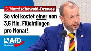 So viel kostet uns einer von 35 Mio Flüchtlingen pro Monat – Stefan MarzischewskiDrewes AfD [upl. by Nawuq]