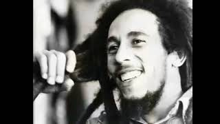 quotCrazy Baldheadsquot Reggae RMX feat Bob Marley and Capleton [upl. by Ecadnak655]