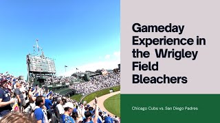 Gameday Experience in the Wrigley Field Bleachers [upl. by Erdnad524]