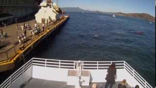 Exclusive video The first hunt by a great white shark ever recorded in San Francisco Bay [upl. by Yeclek]