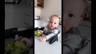 Baby Reacts Funnily When She Touches Broccoli  1497071 [upl. by Ynafit]