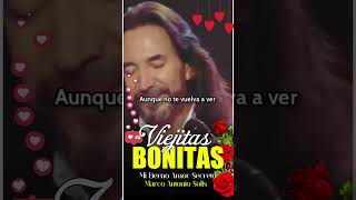 Mi Eterno Amor Secreto🎵 Marco Antonio Solis [upl. by Netsrek]