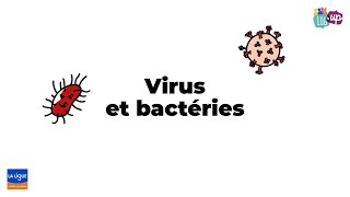 Virus et bactéries [upl. by Saffren]