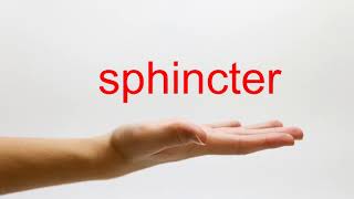 How to Pronounce sphincter  American English [upl. by Lorien571]