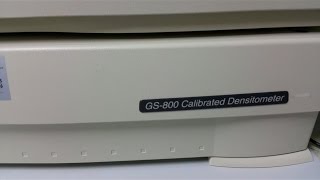 How to takescan SDS PAGE gel photo using Densitometer GS800 Calibrated Densitometer [upl. by Loredana177]