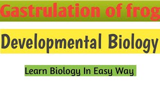 Gastrulation of frog  Developmental Biology zoology biology [upl. by Ecirpak]