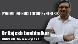 Pyrimidine nucleotide synthesis and degradation [upl. by Atikir]