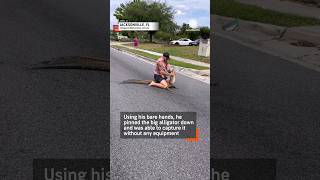 Florida Man Wrestles Alligator As Police Watch [upl. by Sucramaj]