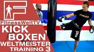 How to Kickboxen Teil 3 mit Weltmeister Dima Weimer  Sandsacktraining  Coach Seyit [upl. by Adiela]