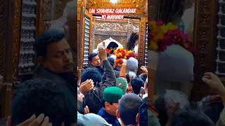 Lal Shahbaz Qalandar ki Mahindi vlog rananadeemsehwani lalshahbazqalandar dhamal live [upl. by Ahl]