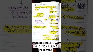 GIBBERELLIC ACID SIGNALLING PATHWAY CSIR LIFE SCIENCES BIOLOGYbiology csirnet gibbrellin msc [upl. by Arehs]