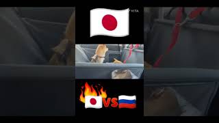 日本とロシアの車に乗せるペットの違い [upl. by Nickolas]