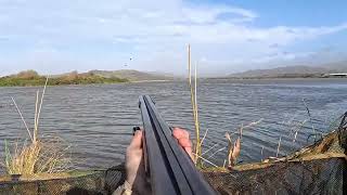 Storm Flight on Wigeon  Kayak was needed  Wildfowling [upl. by Littman386]